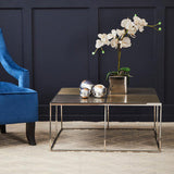Orsina Coffee Table with Polished Metal Surface and Decorative Orchid Plant Arrangement