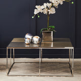 Stylish Orsina Coffee Table with a Metal Frame and Decorative Accessories on Top