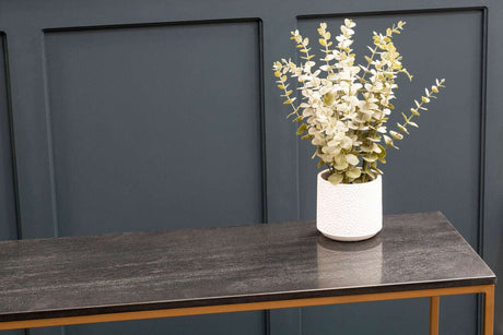 Stylish Orsina Console Table with a sleek finish and decorative plant in a white pot