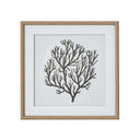 Atol Coral Art Mounted In Beaded Frame BROWN GLASS Shades 4 Seasons