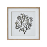 Atol Coral Art Mounted In Beaded Frame BROWN GLASS Shades 4 Seasons