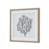 Atol Coral Art Mounted In Beaded Frame Shades 4 Seasons