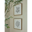 Atol Coral Art Mounted In Beaded Frame Shades 4 Seasons