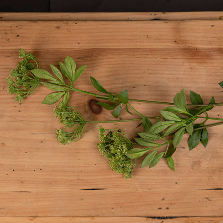 Shades 4 Seasons Artificial Cow Parsley Spring Stem Shades 4 Seasons