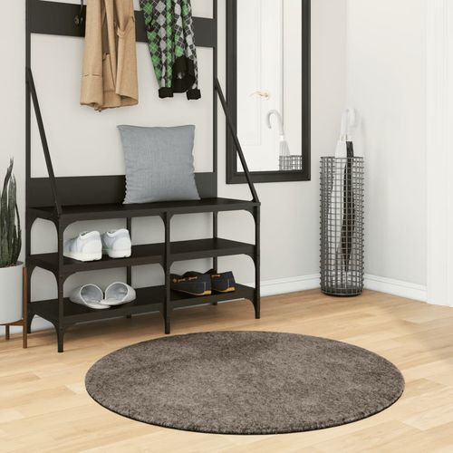 vidaXL Istan High Pile Rug Shiny Look Anthracite 80x150 cm grey Ø 100 cm vidaXL