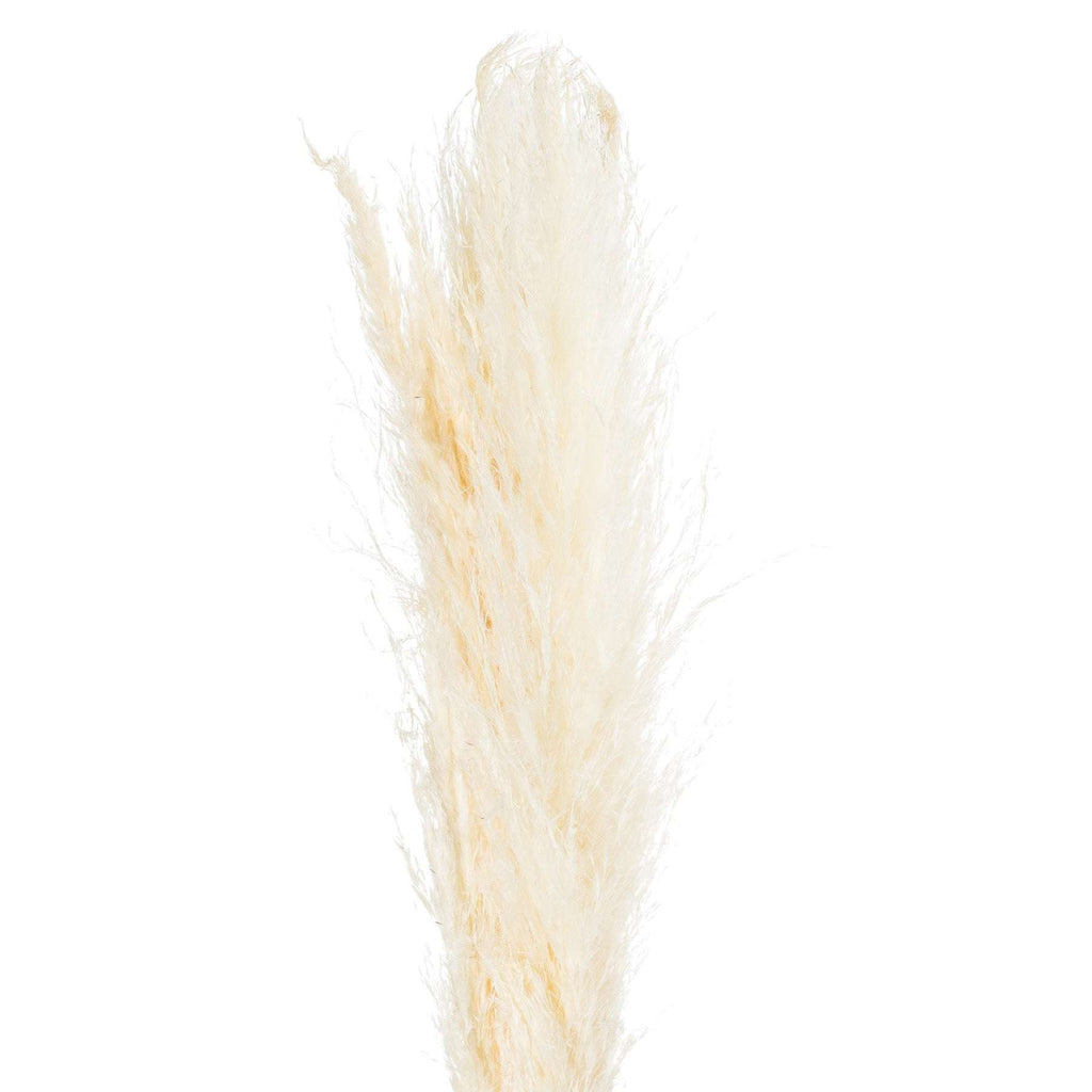 Shades 4 Seasons Cream Pampas Grass Single Stem Decor Shades 4 Seasons