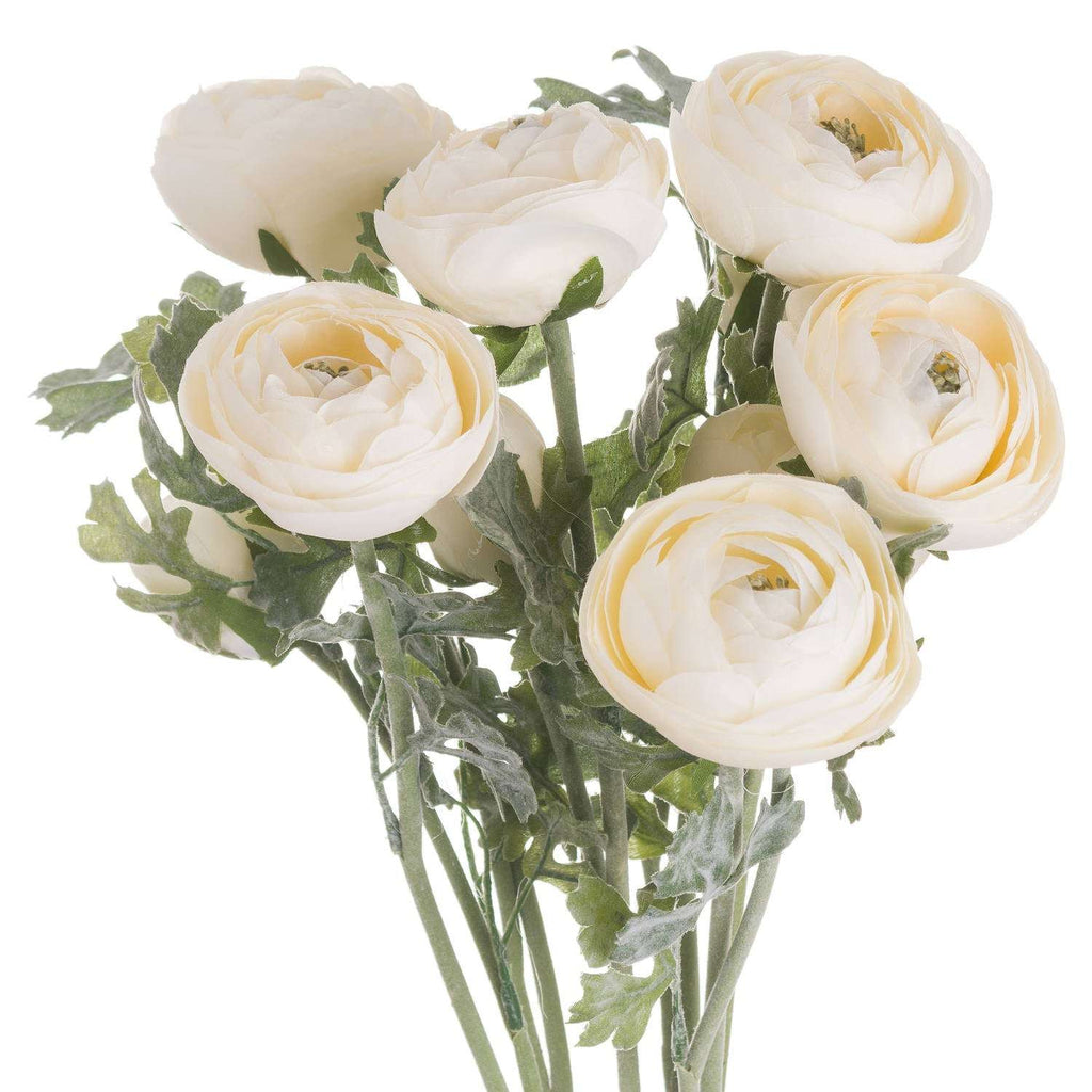 Shades 4 Seasons Cream Ranunculus Single Stem Flower Default Title Shades 4 Seasons