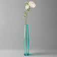 Shades 4 Seasons Cream Ranunculus Single Stem Flower Shades 4 Seasons