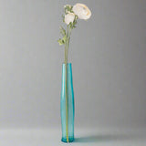 Shades 4 Seasons Cream Ranunculus Single Stem Flower Shades 4 Seasons