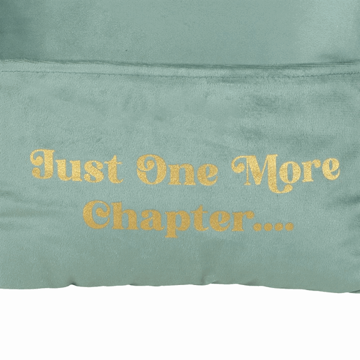 Just One More Chapter Cushion with Book Pocket N/A