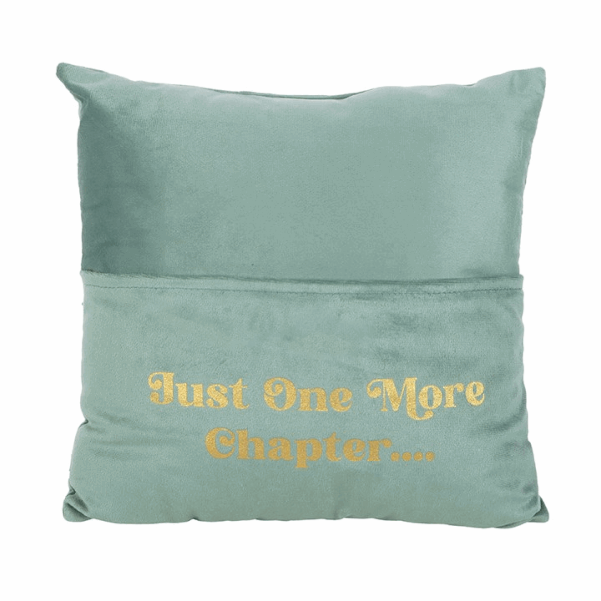 Just One More Chapter Cushion with Book Pocket N/A