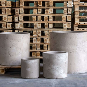 Set of stylish concrete Cylinder Planters in various sizes for modern home decor
