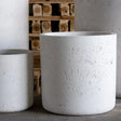 Minimalist Cylinder Planter in textured white finish, perfect for displaying indoor plants