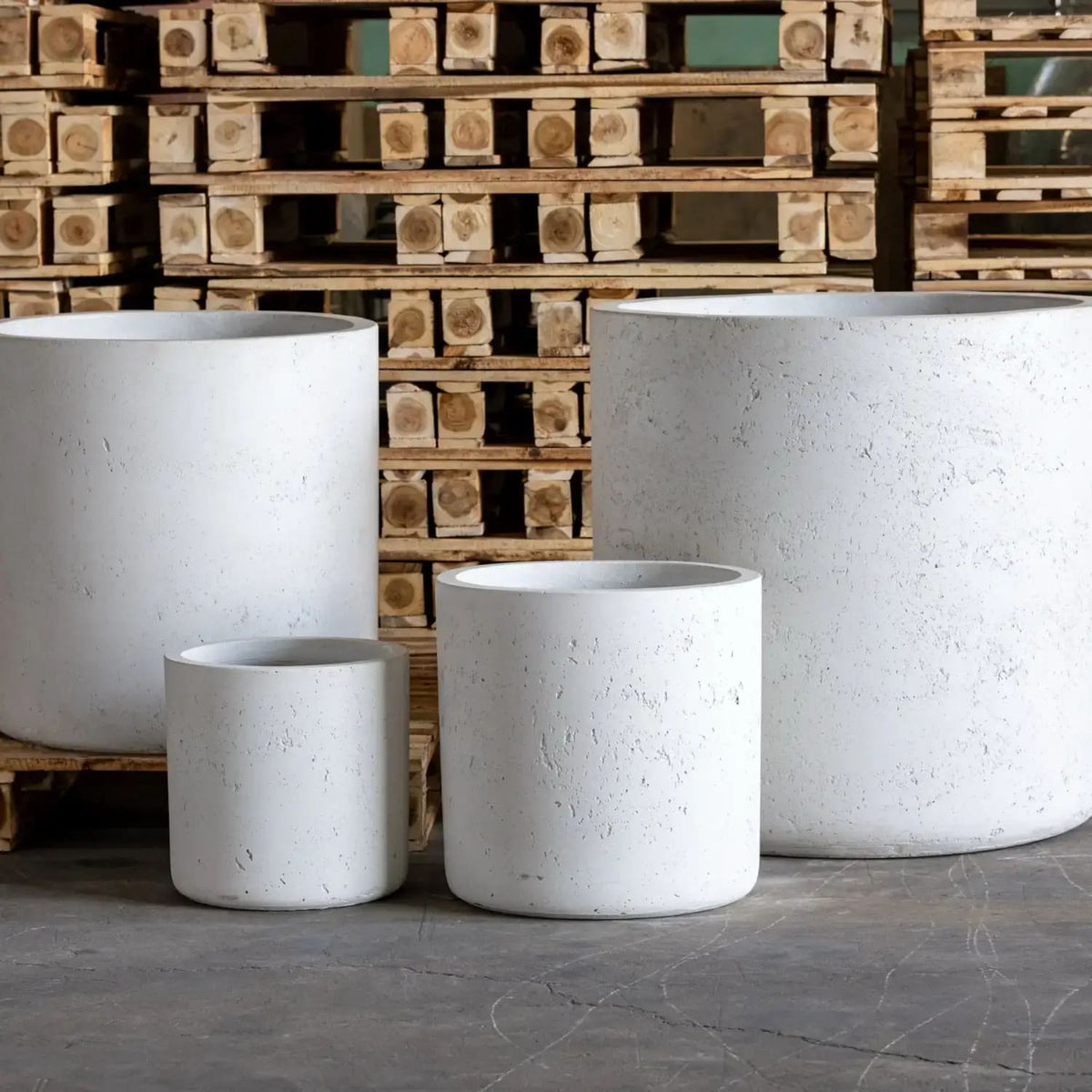 Set of four white Cylinder Planters displayed on wooden pallets for indoor gardening