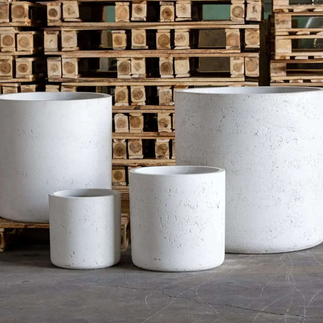 Set of four white Cylinder Planters displayed on wooden pallets for indoor gardening