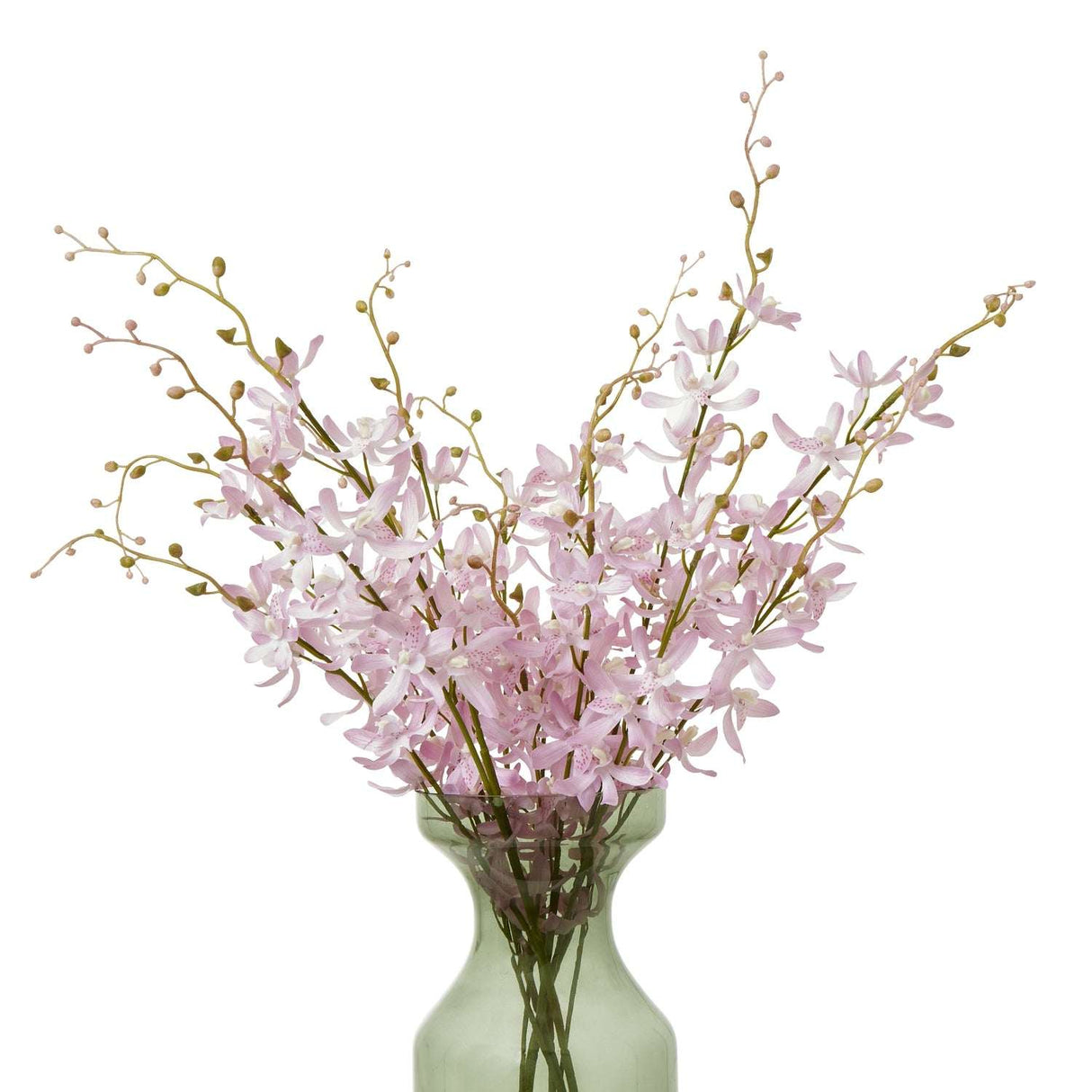 Shades 4 Seasons Cymbidium Spray for Elegant Decor Shades 4 Seasons