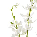 Elegant Cymbidium Spray by Shades 4 Seasons Shades 4 Seasons