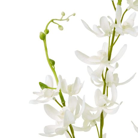 Elegant Cymbidium Spray by Shades 4 Seasons Shades 4 Seasons