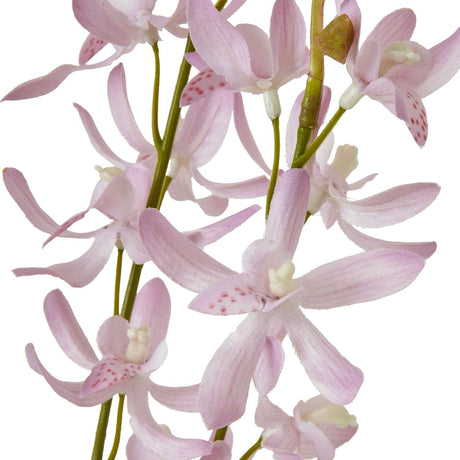 Shades 4 Seasons Cymbidium Spray for Elegant Decor Shades 4 Seasons
