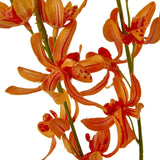 Shades 4 Seasons Cymbidium Spray - Elegant Artificial Flower Shades 4 Seasons