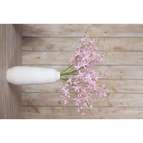 Shades 4 Seasons Cymbidium Spray for Elegant Decor Shades 4 Seasons