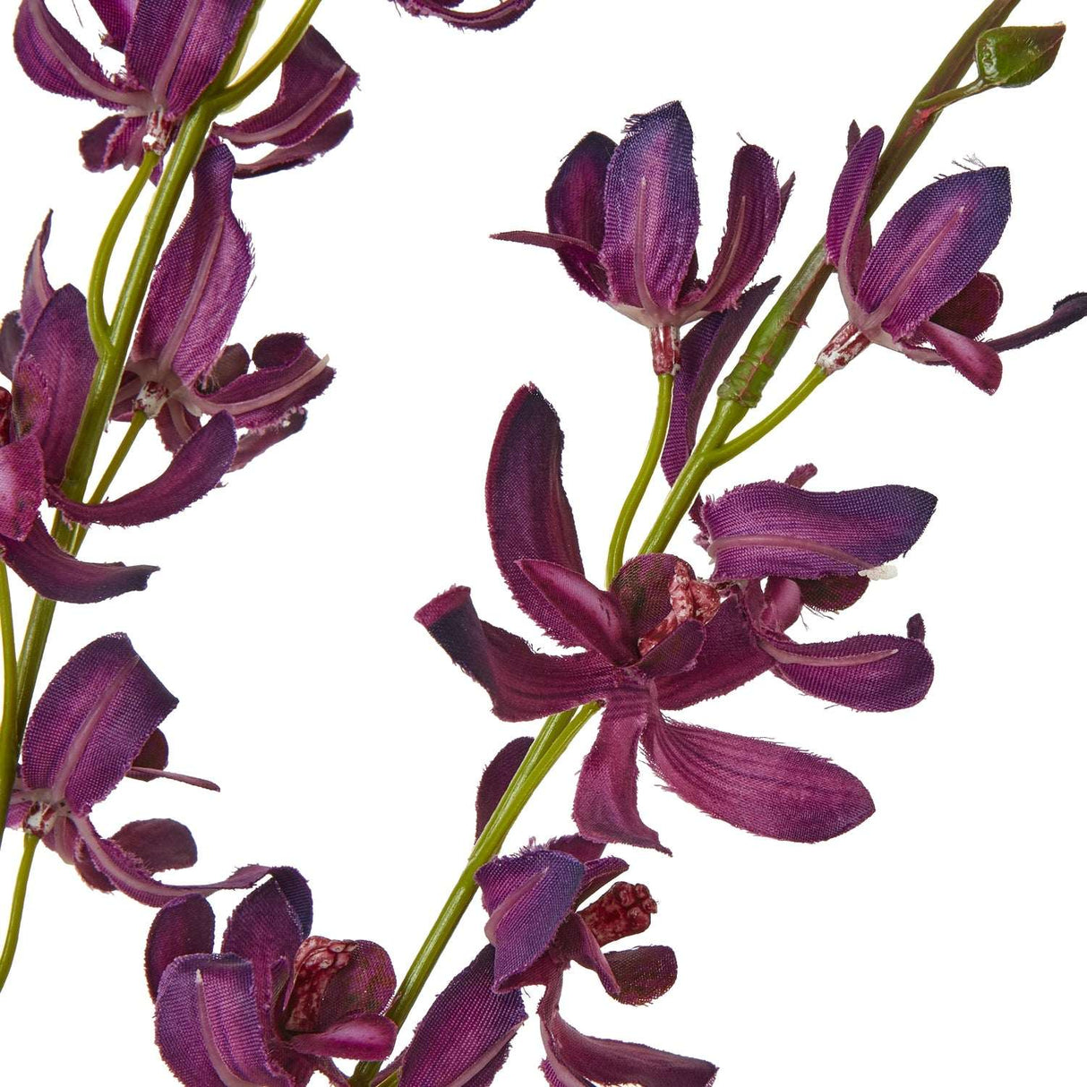 Shades 4 Seasons Cymbidium Spray for Elegant Decor Shades 4 Seasons