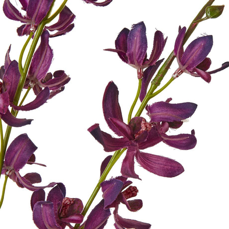 Shades 4 Seasons Cymbidium Spray for Elegant Decor Shades 4 Seasons