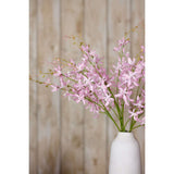 Shades 4 Seasons Cymbidium Spray for Elegant Decor Shades 4 Seasons