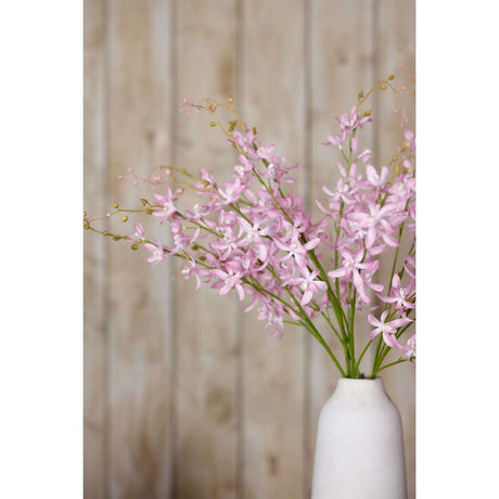 Shades 4 Seasons Cymbidium Spray for Elegant Decor Shades 4 Seasons