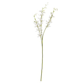 Elegant Cymbidium Spray by Shades 4 Seasons WHITE PLASTIC Shades 4 Seasons