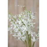 Elegant Cymbidium Spray by Shades 4 Seasons Shades 4 Seasons