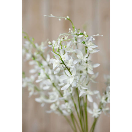 Elegant Cymbidium Spray by Shades 4 Seasons Shades 4 Seasons