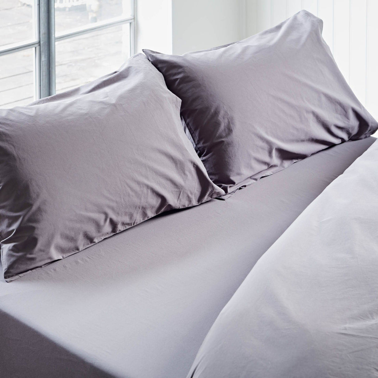 Cotton Collective Soft White Pillowcases Slate Cotton Collective