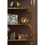 Stylish Orsina bookends with a modern design, elegantly supporting books on a shelf
