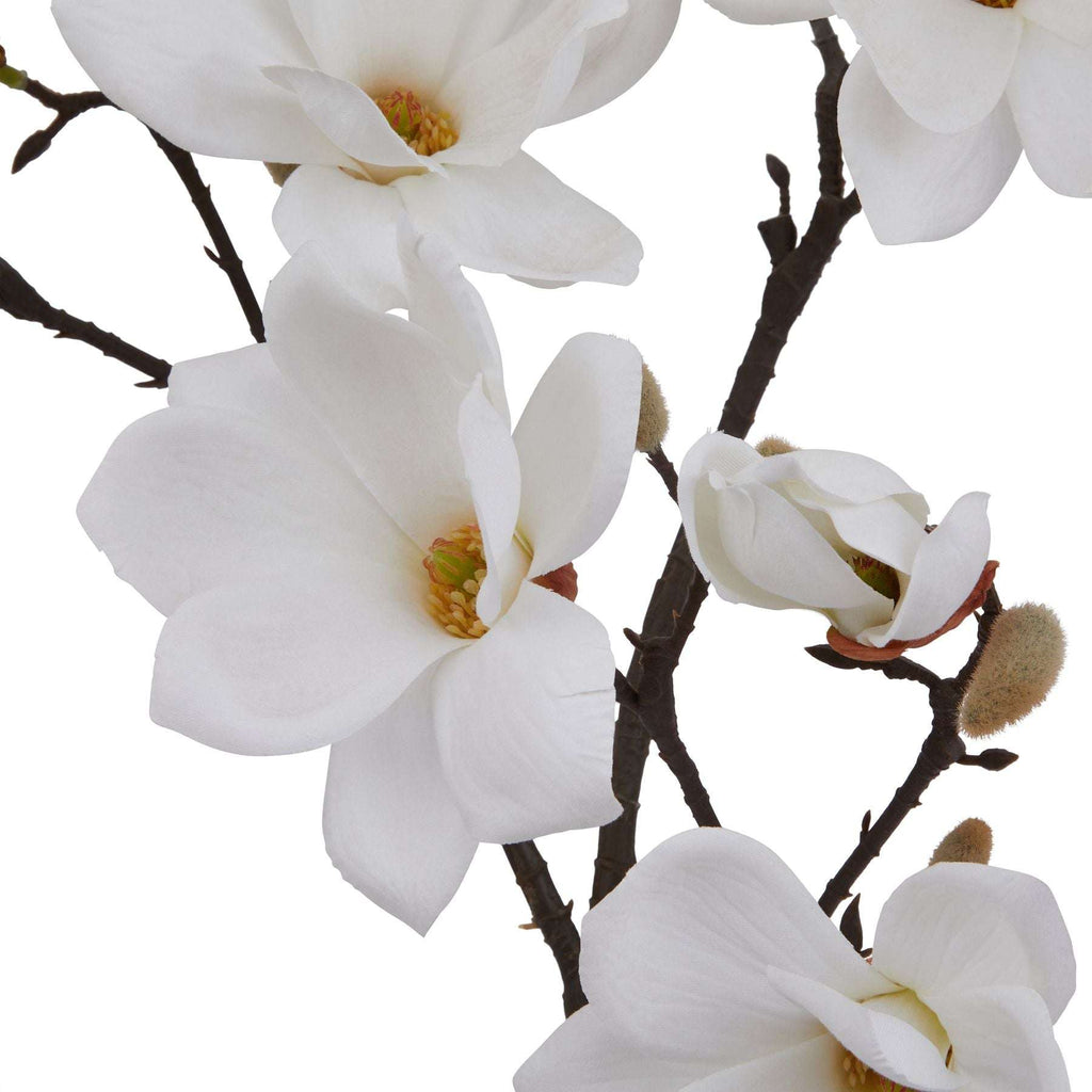 The Natural Garden Collection White Magnolia Stem Shades 4 Seasons