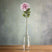 The Natural Garden Collection Pink Dahlia PINK PLASTIC Shades 4 Seasons