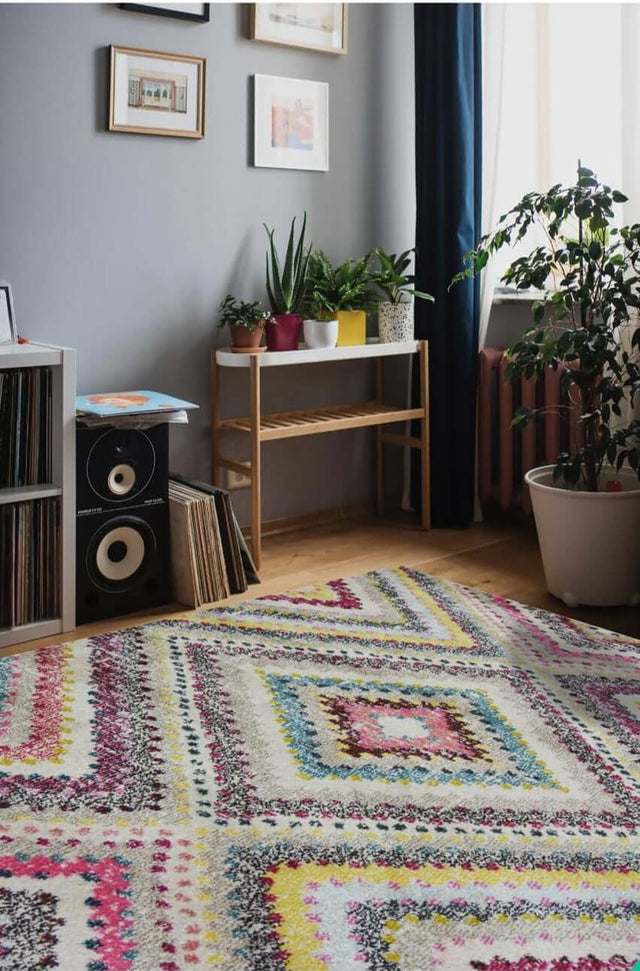 Colourful Diamond Rug in a stylish living room with plants and framed wall art