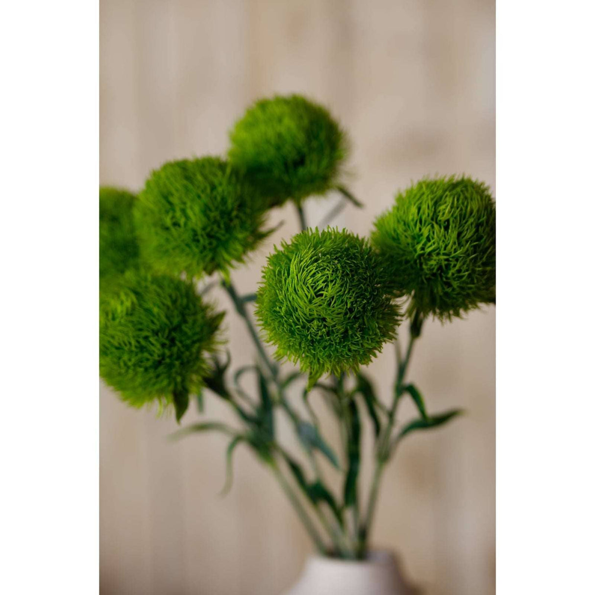 Dianthus Stem - Stylish Greenery by Shades 4 Seasons Shades 4 Seasons
