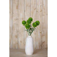 Dianthus Stem - Stylish Greenery by Shades 4 Seasons Shades 4 Seasons