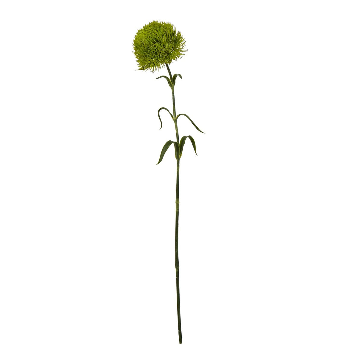 Dianthus Stem - Stylish Greenery by Shades 4 Seasons GREEN PLASTIC Shades 4 Seasons