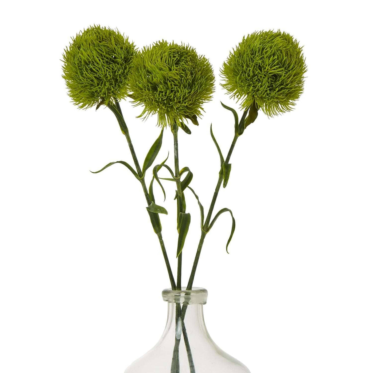 Dianthus Stem - Stylish Greenery by Shades 4 Seasons Shades 4 Seasons