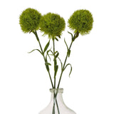 Dianthus Stem - Stylish Greenery by Shades 4 Seasons Shades 4 Seasons