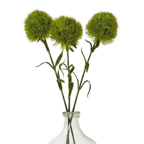 Dianthus Stem - Stylish Greenery by Shades 4 Seasons Shades 4 Seasons