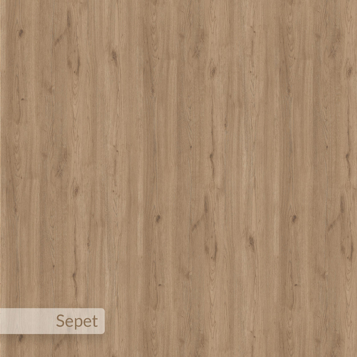 Decortie Dining Table featuring a stylish wooden finish for elegant dining spaces