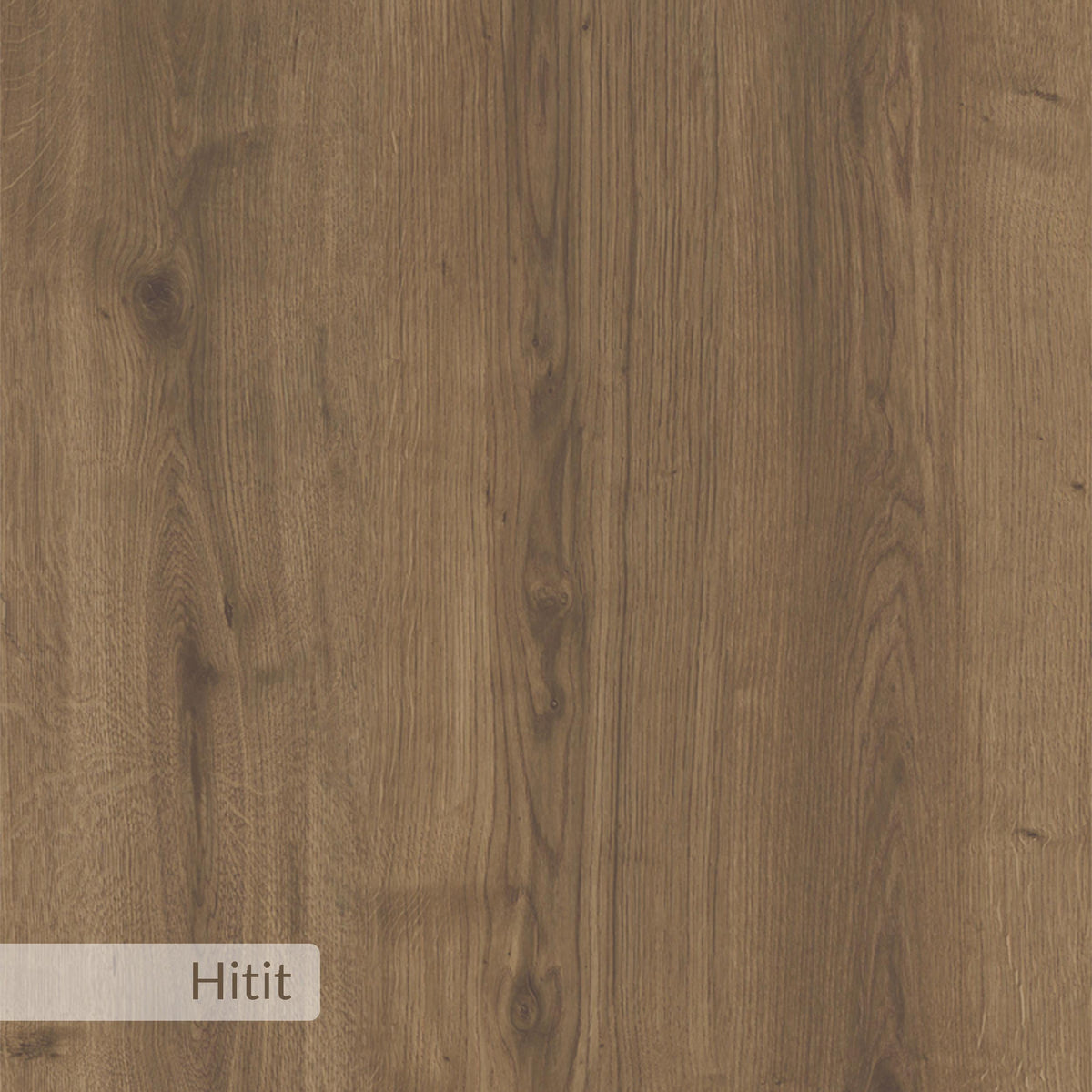 Decortie Dining Table with a stylish wooden finish, ideal for modern dining spaces