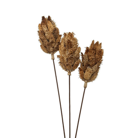 Shades 4 Seasons Dried Protea Decorative Bouquet Shades 4 Seasons