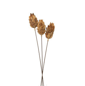 Shades 4 Seasons Dried Protea Decorative Bouquet Default Title Shades 4 Seasons
