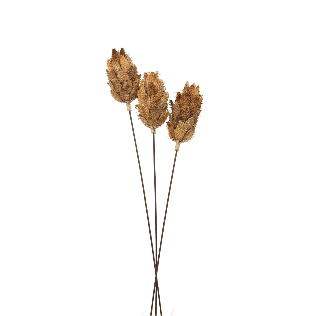 Shades 4 Seasons Dried Protea Decorative Bouquet Default Title Shades 4 Seasons