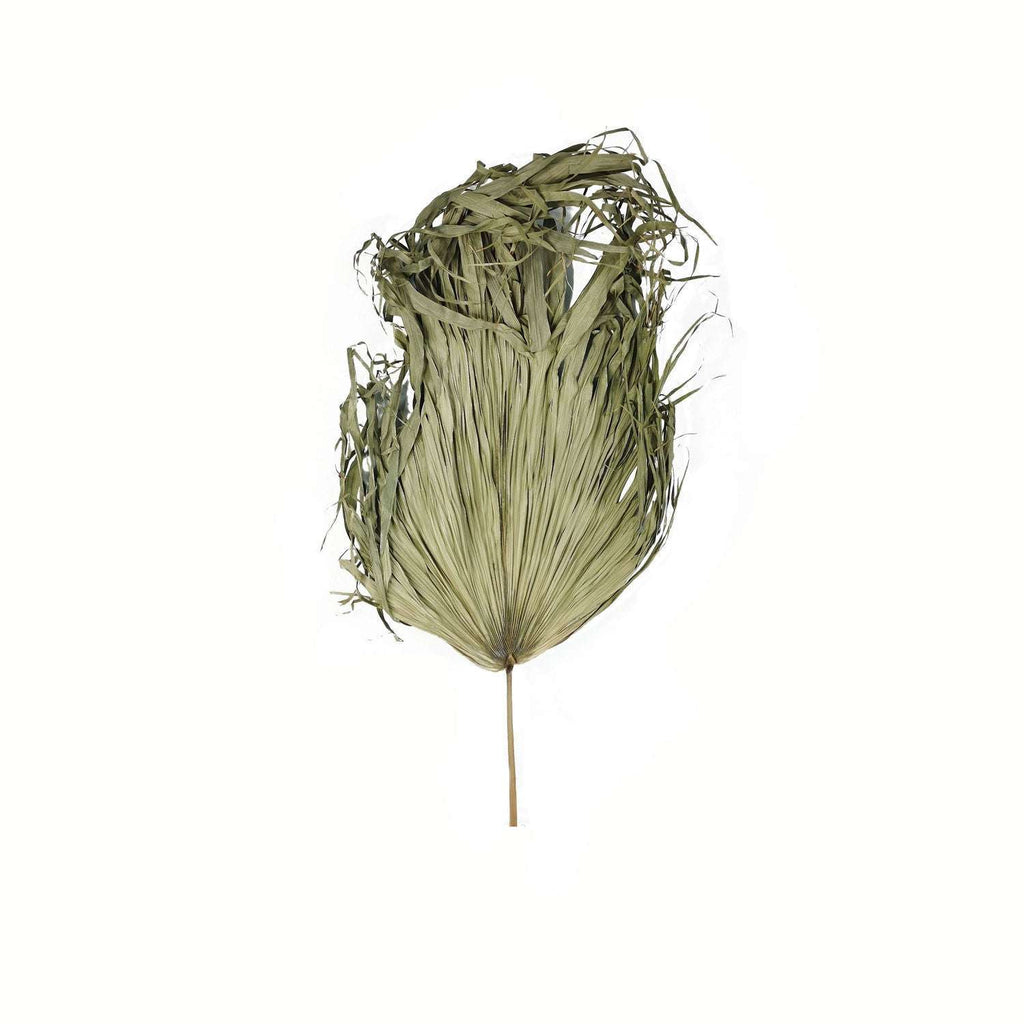 Shades 4 Seasons Dried Sun Big Palm Single Stem Flower Default Title Shades 4 Seasons