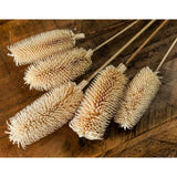 Shades 4 Seasons Dried Thistle Floral Arrangement Shades 4 Seasons